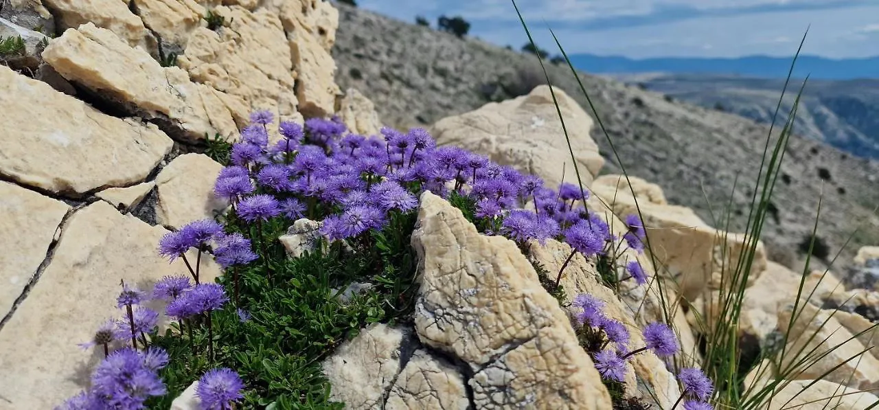 別荘 Swim And Climb Baska Holiday House - Island Krk Draga Bašćanska